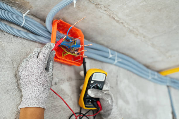 Best Electric Panel Repair  in Lake Belvedere Estates, FL